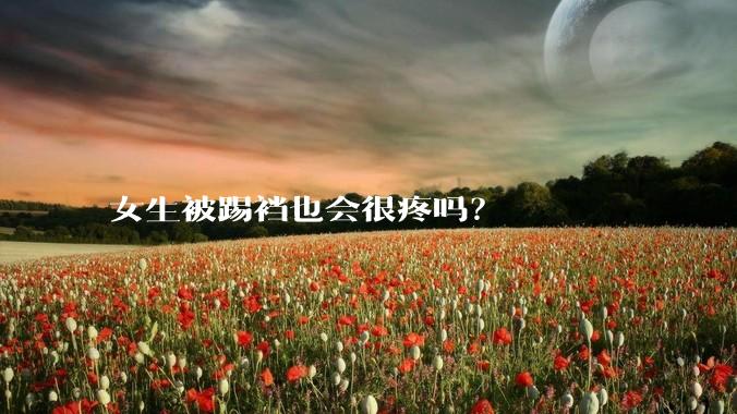 女生被踢裆也会很疼吗?