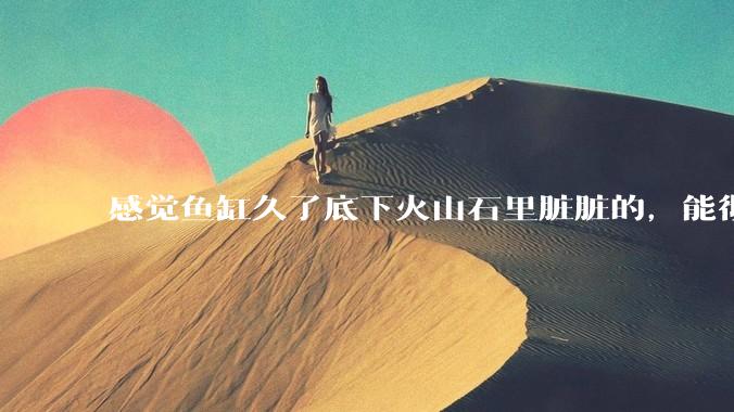 感觉鱼缸久了底下火山石里脏脏的,能彻底换水清理一遍不?